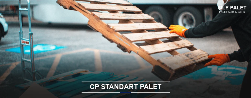 Şile CP Palet Çözümleri