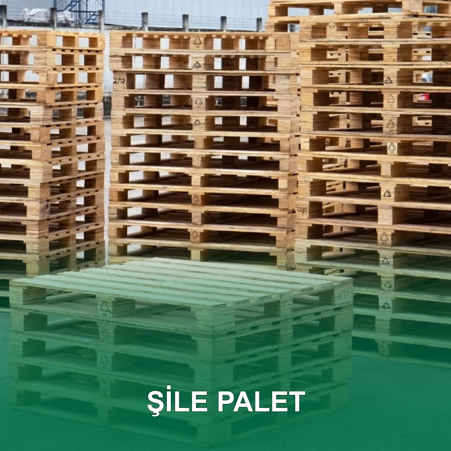 Şile Palet
