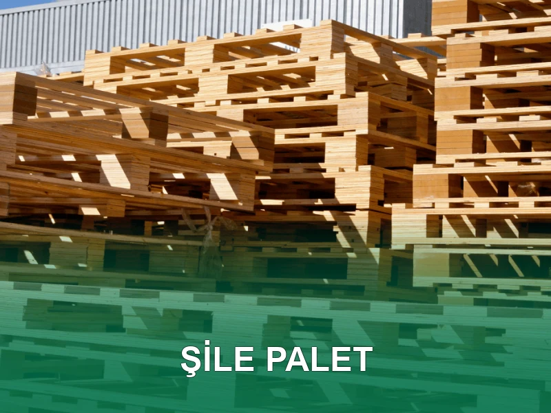 Şile Palet Galeri 1
