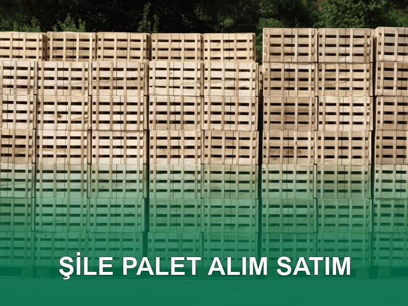 Şile Palet Galeri 3