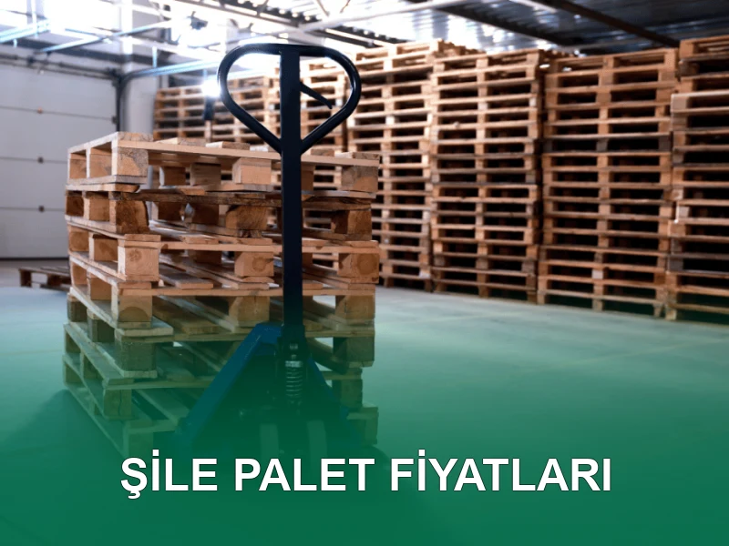 Şile Palet Galeri 8