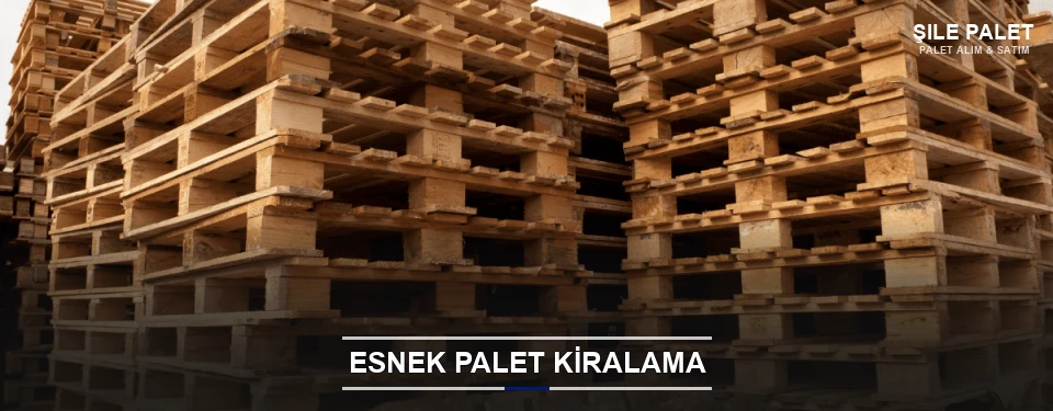 Şile Uygun Fiyatlı Palet Kiralama